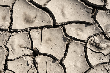 Image showing grunge mud cracks texture