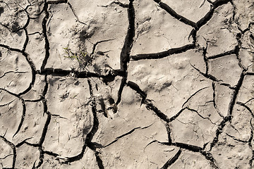 Image showing grunge mud cracks texture