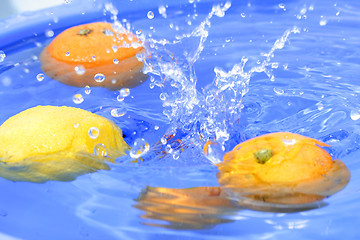 Image showing Oranges and lemons