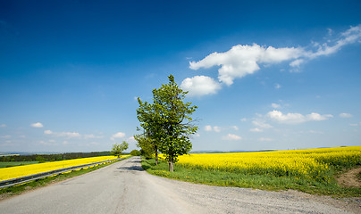 Image showing Beautiful spring rural landscape