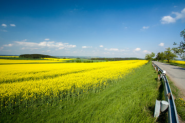 Image showing Beautiful spring rural landscape