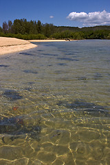 Image showing  madagascar lagoon and coastline
