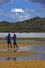 Image showing sand of lokobe reserve