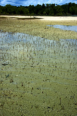 Image showing  mamoko madagascar lagoon  and coastline 