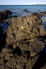 Image showing nosy coastline