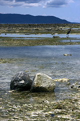 Image showing rocks in nosy iranja