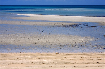 Image showing sandy beach