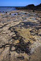 Image showing rocky beach