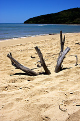 Image showing sand and beach