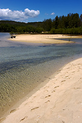 Image showing footstep in nosy mamoko madagascar