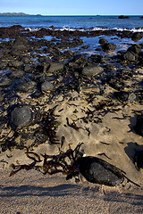 Image showing rocks and weed