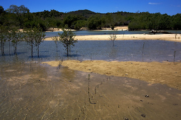 Image showing nosy mamoko  and coastline 