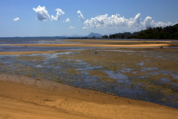 Image showing  lokobe reserve madagascar