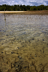 Image showing madagascar coast