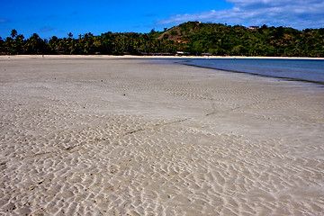 Image showing nosy mamoko sand