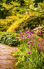 Image showing Different flowers along a brick path