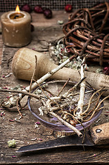 Image showing medicinal herb