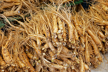 Image showing crowd of real ginseng