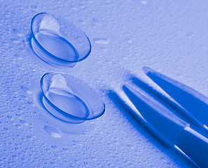Image showing Contact Lenses and Tweezers