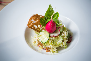 Image showing Salad from cabbage, herbs, cucumber and radish in bowl.