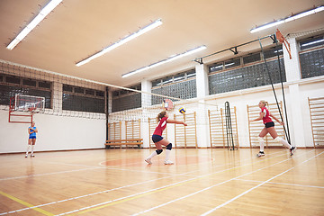 Image showing volleyball  woman group