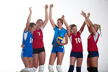 Image showing volleyball  woman group
