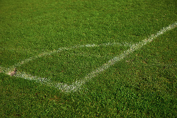 Image showing Corner of the soccer field