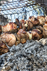 Image showing barbecue at the picnic