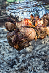 Image showing barbecue at the picnic