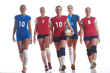 Image showing volleyball  woman group