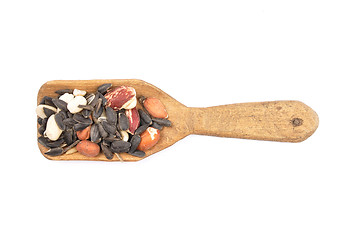 Image showing Bird seed on shovel