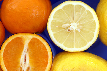 Image showing Oranges and lemons