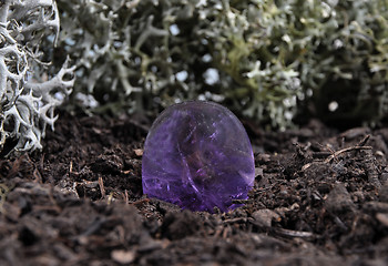 Image showing Amethyst on forest floor