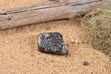 Image showing Jasper on beach