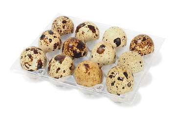 Image showing Quail eggs