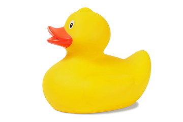 Image showing Rubber duck