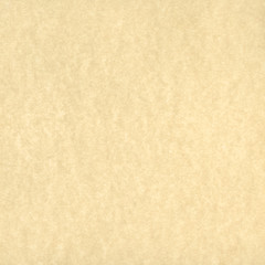 Image showing Beige Parchment Background