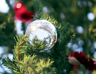 Image showing Christmas tree 