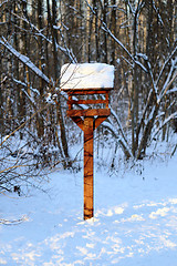 Image showing Beautiful winter forest  