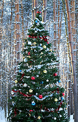 Image showing Christmas tree 