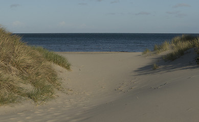 Image showing Beach