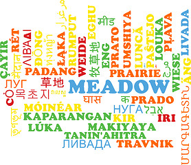 Image showing Meadow multilanguage wordcloud background concept