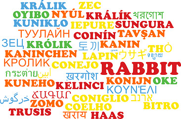 Image showing Rabbit multilanguage wordcloud background concept