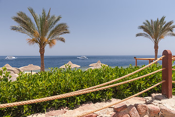 Image showing Beach at the luxury hotel, Sharm el Sheikh, Egypt