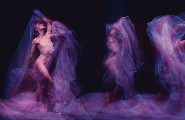 Image showing photo as art - a sensual and emotional dance of beautiful ballerina through the veil 