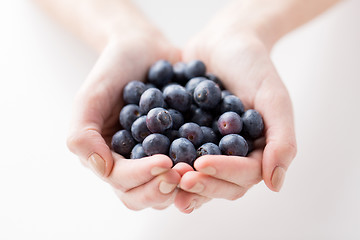 Image showing close up of woman hands holding blueberries