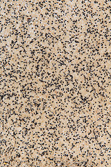 Image showing sesame seeds texture