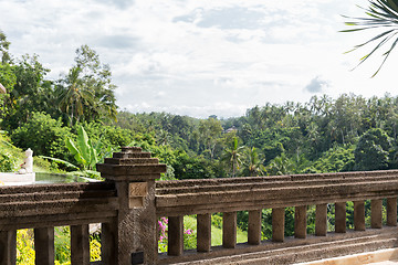 Image showing view from balcony to tropical woods at hotel