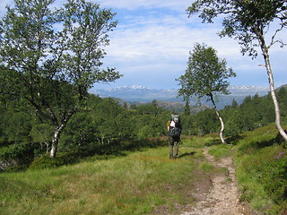 Image showing Backpacker tracking in nature