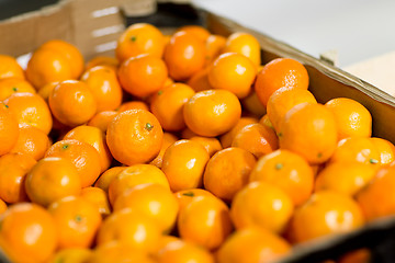 Image showing ripe mandarins at food market or farm